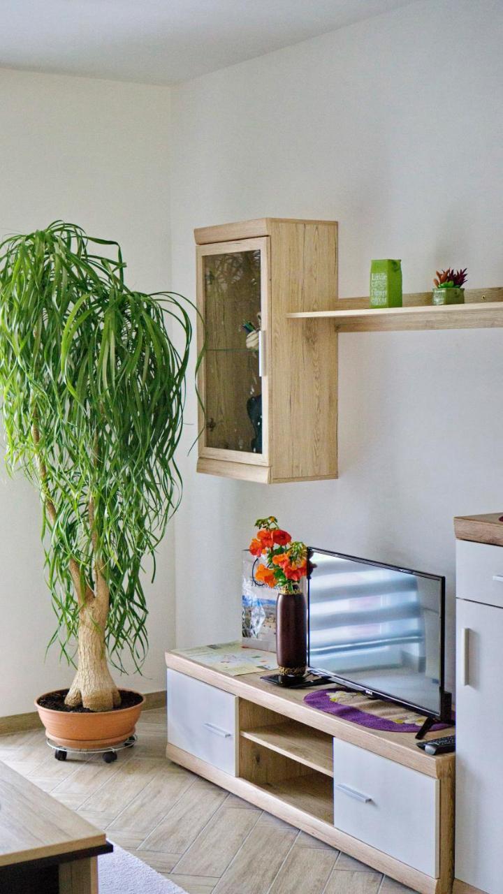 Apartments Pravica トレビニエ エクステリア 写真